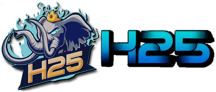 H25