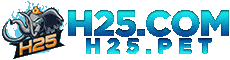 H25