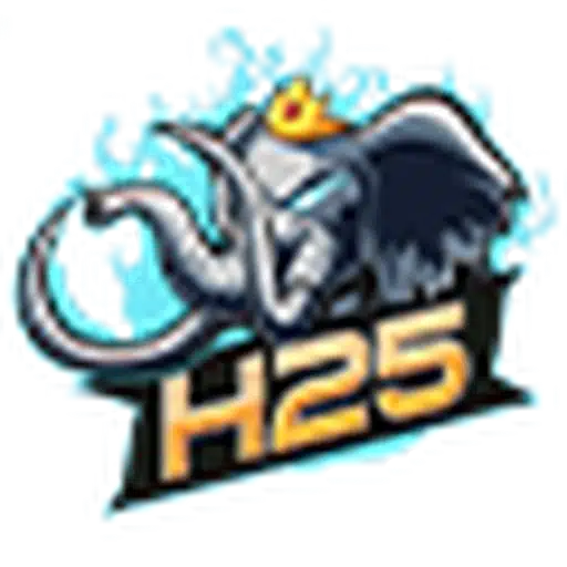 H25
